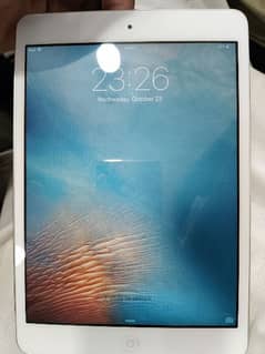 iPad mini 0