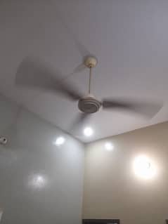 Ceiling Fans 0