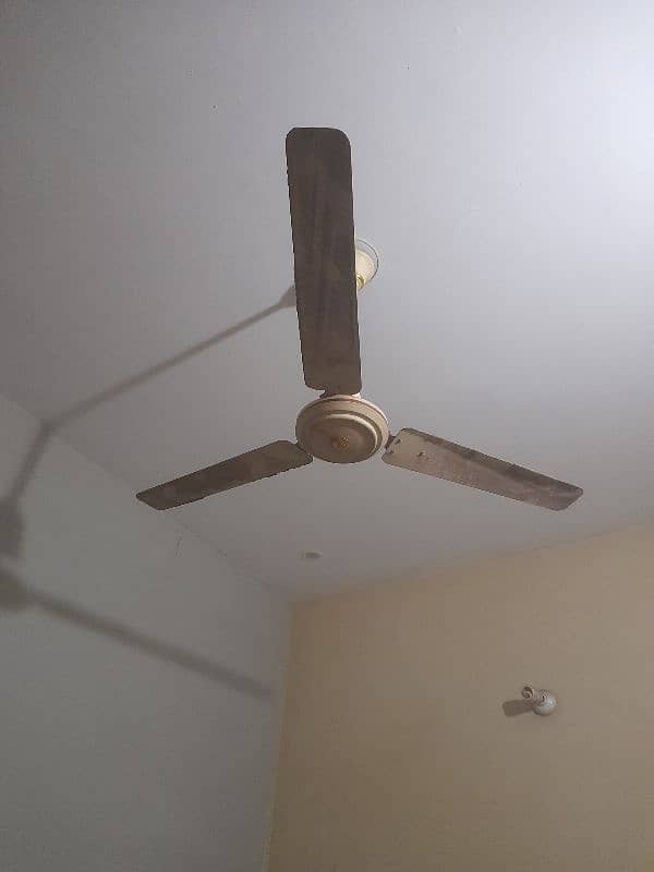 Ceiling Fans 2