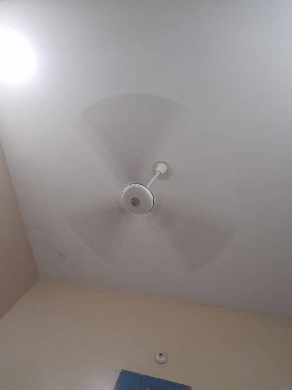 Ceiling Fans 3