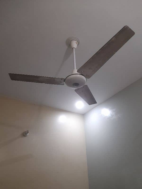 Ceiling Fans 5