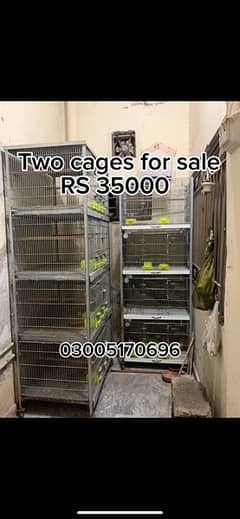 cages for salee