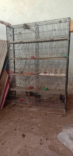 cage for sell 0