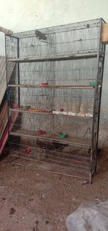 cage for sell 1