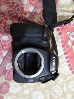 canon 6d full frame camera