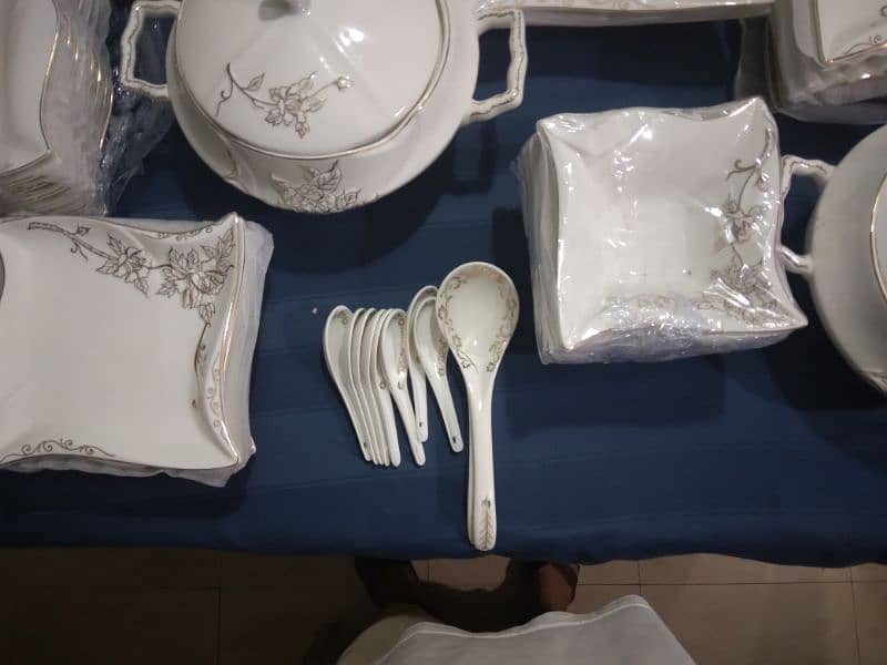 German Ceramic Dinner Set 7