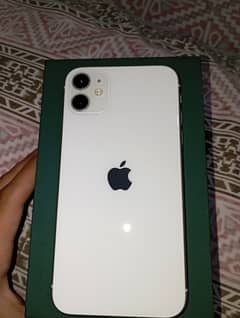 Iphone 11 (dual sim) pta approved 64gb 10/10 condition