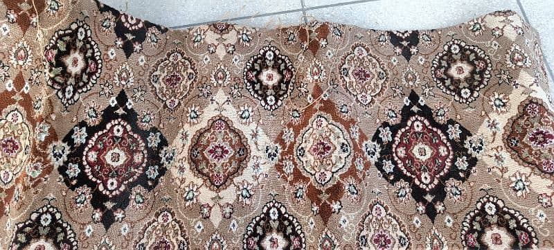 Room Carpet 1