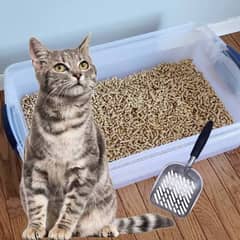 cat litter wood pellets