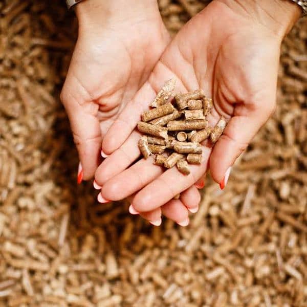 cat litter wood pellets 2