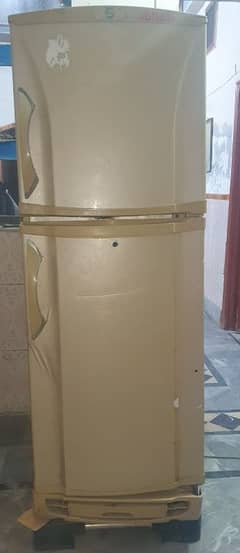 PEL FRIDGE medium  size