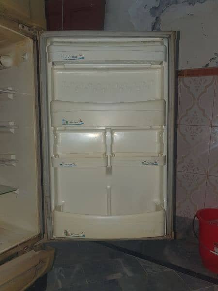 PEL FRIDGE medium  size 1