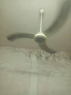 Fan in good condition