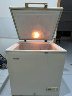 Haier Deep Freezer