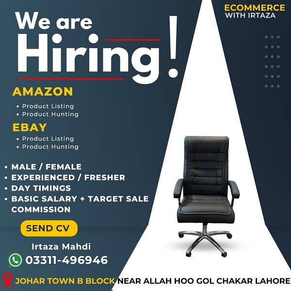 Amazon and Ebay Job For Male and Female 0