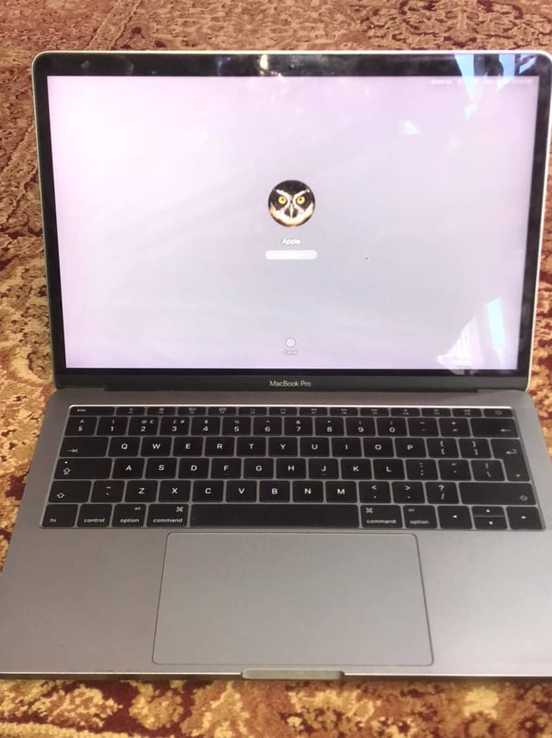 Apple MacBook Pro 2016 - 13inch 2