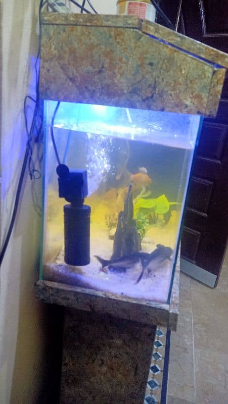 Fish Aquarium 2