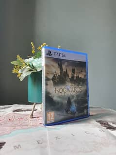 Hogwarts Legacy ps5