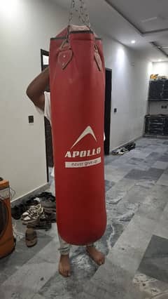 Apollo punching bag with gloves.