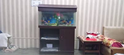 Fish Aquarium