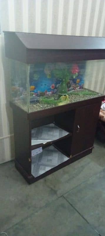 Fish Aquarium 2