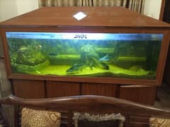 6 ft Aquarium with 4 door divider