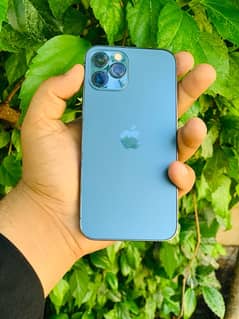 iPhone 12 Pro 0