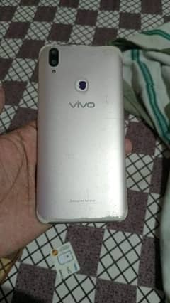 vivo