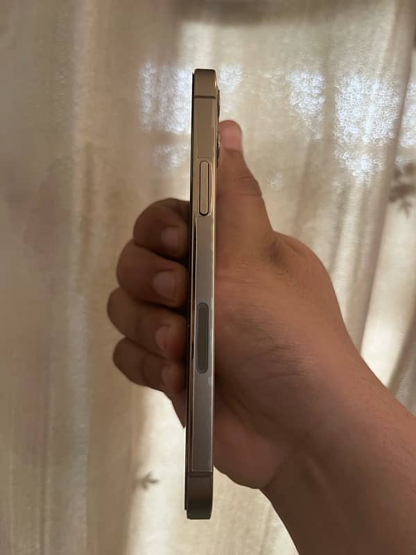 iphone 12 pro pta approved 2