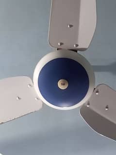 fan in blue colour