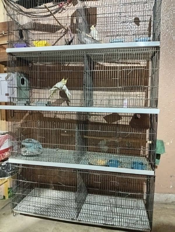 cage with parrots 0