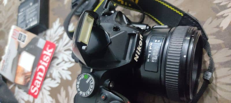 Nikon d3200 with Yongnuo 55mm lens 7