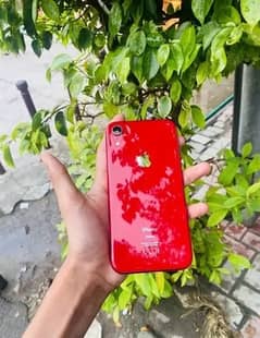 IPHONE XR 256 gb FU