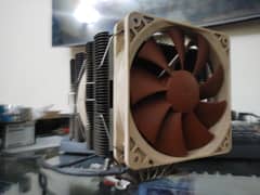 Noctua