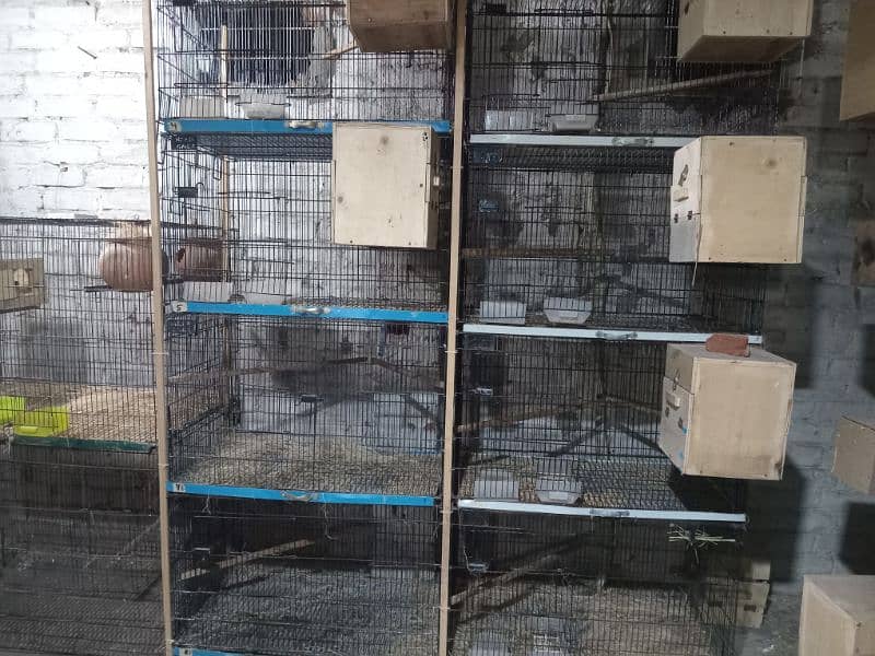 Love bird cage for sale 0