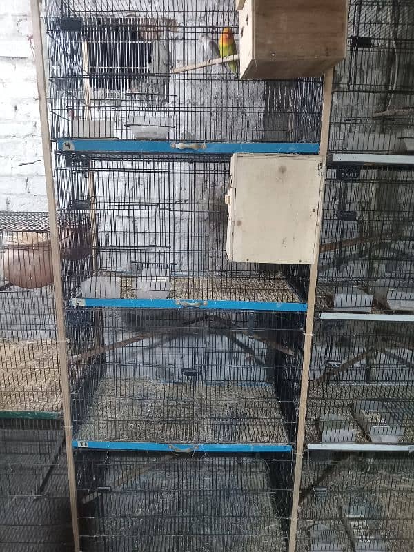 Love bird cage for sale 1