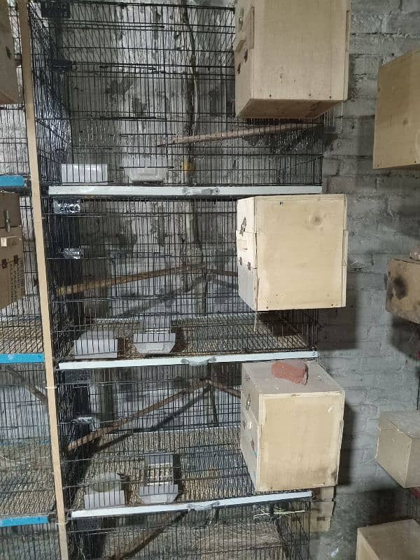 Love bird cage for sale 2