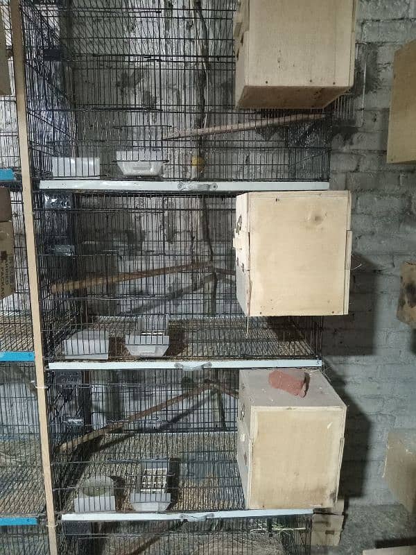 Love bird cage for sale 3