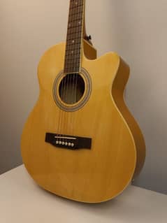 Semi Acoustic Guitar