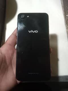 vivo