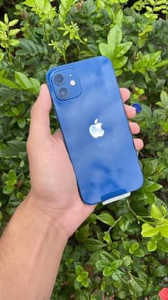 I Phone 12 256gb Duel Pta Approved 0