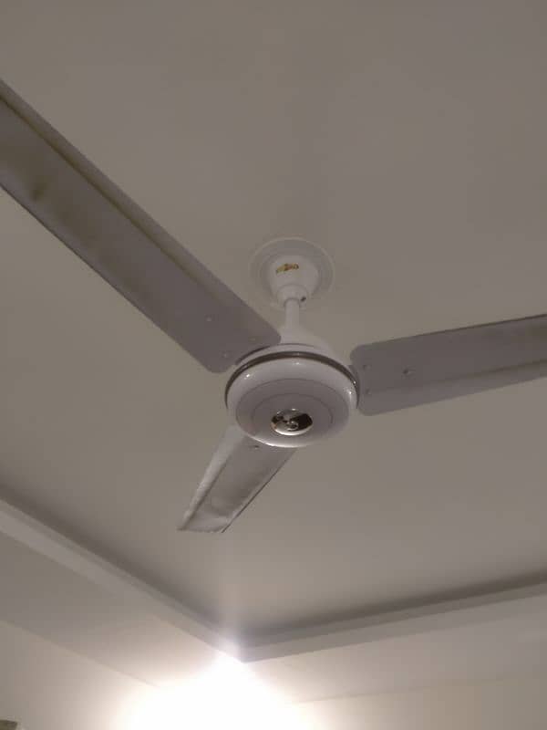 Ceiling fan 1