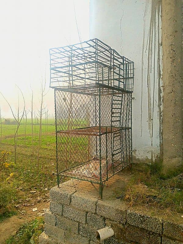 Hen Cage | Murghi ka pinjra | Pinjra | Cage | Metal 0