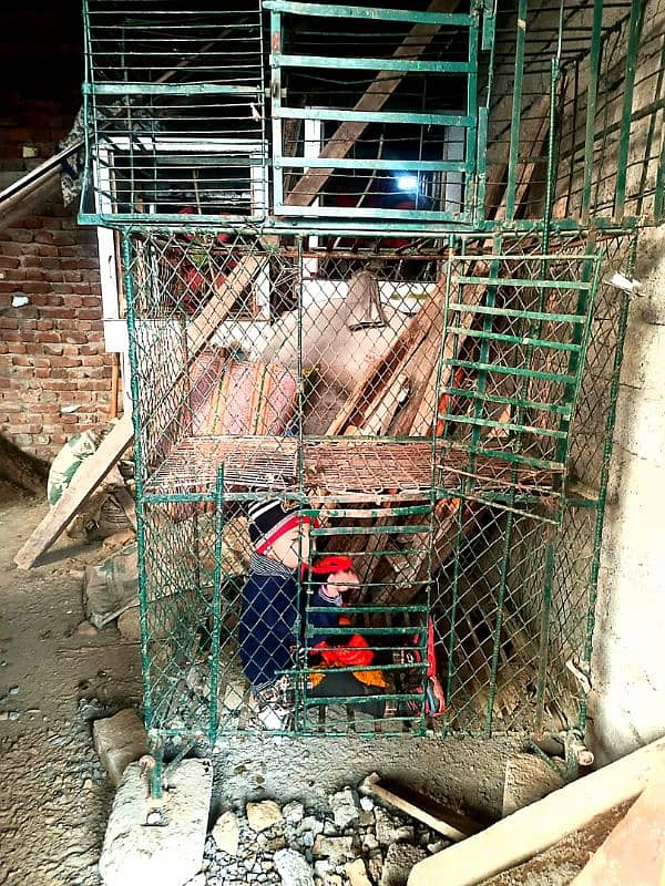 Hen Cage | Murghi ka pinjra | Pinjra | Cage | Metal 2