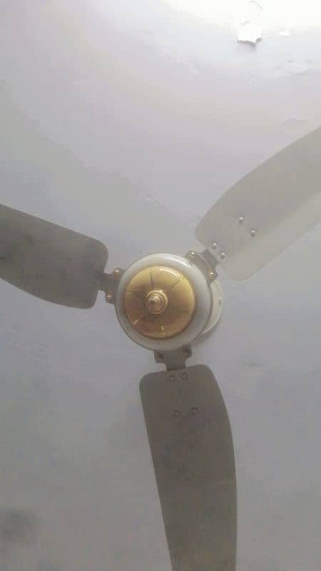 ceiling fan Royal new 10/0 condition 1