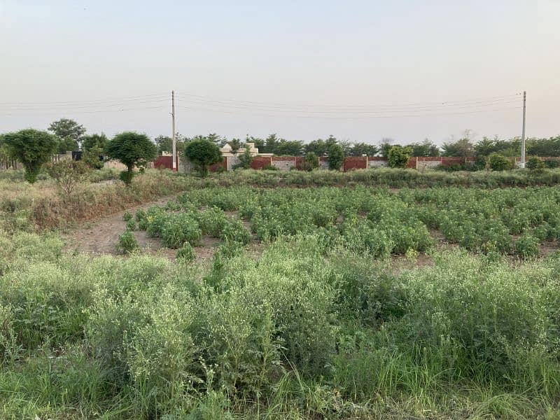 10 Marla Residential Plot for Sale in Barki 0