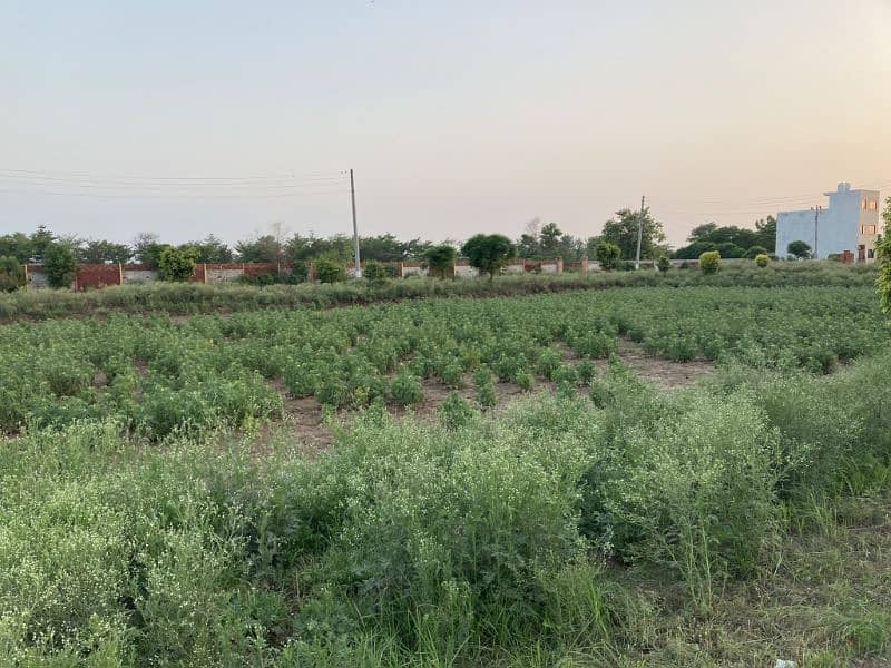 10 Marla Residential Plot for Sale in Barki 2