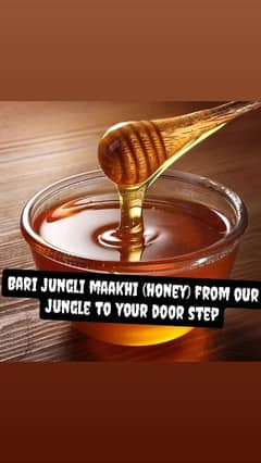 jungli bari maakhi honey