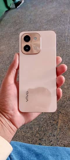 vivo