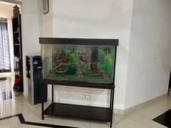 Aquarium for sale